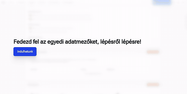 Egyedi adatmező.gif